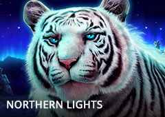 Northern Lights T1