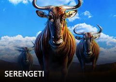Serengeti T1