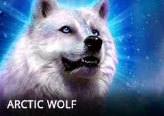 Arctic Wolf T1