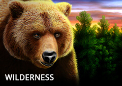 Wilderness T1
