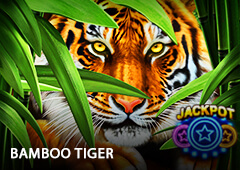 Bamboo Tiger